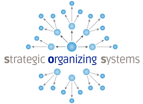 Strategic Organizing Systems